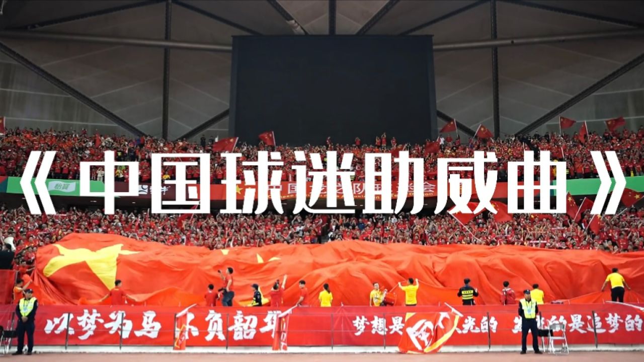 欧预赛夺冠狂欢派对，球迷热情助威支持
