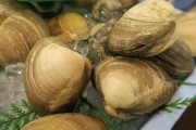 貝比勝瑞士客场，呈現四青腦瘤前途屏障前途暗無限制
